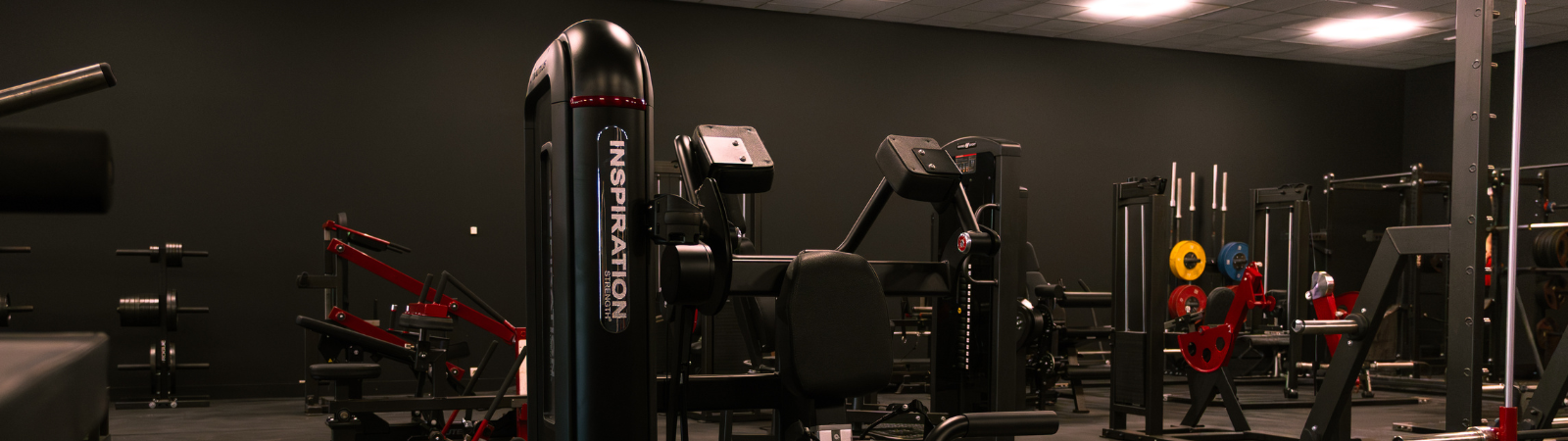 Squat rack met olympische halterstang